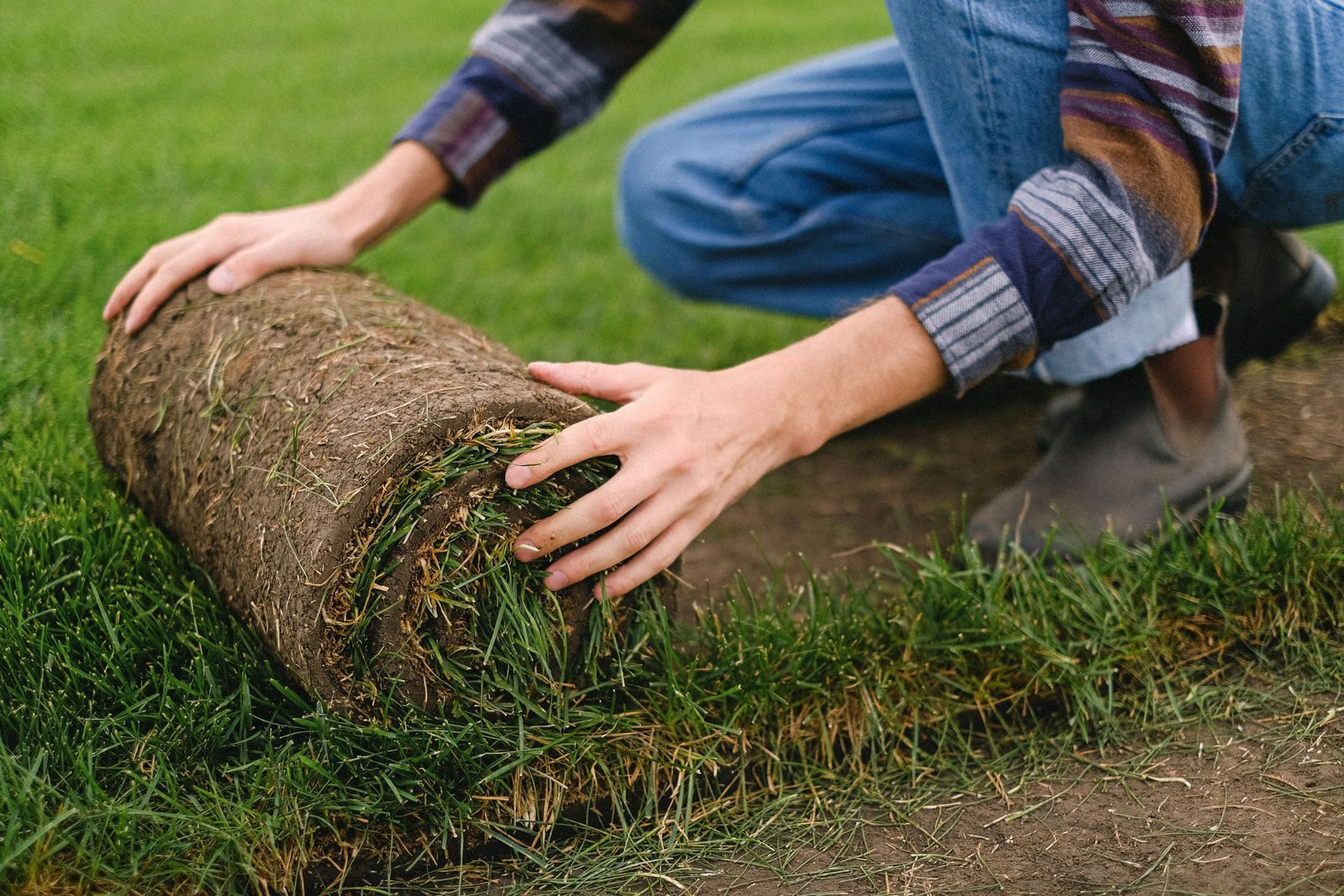 Hands unrolling fresh turf onto prepared soil