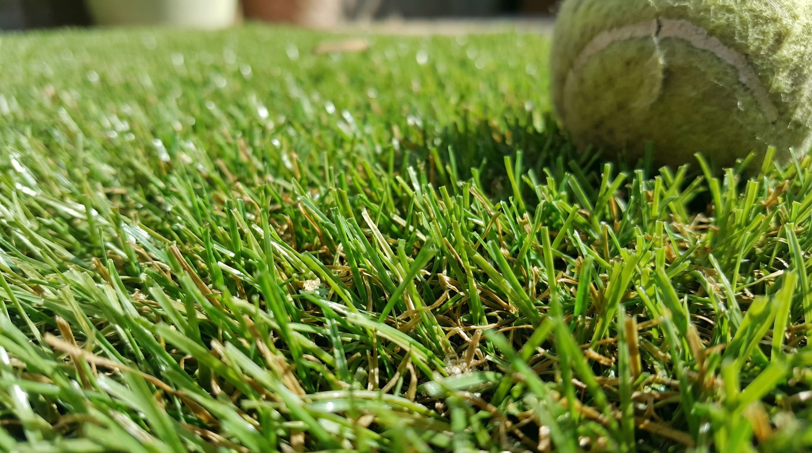 Close up of realistic artificial grass texture